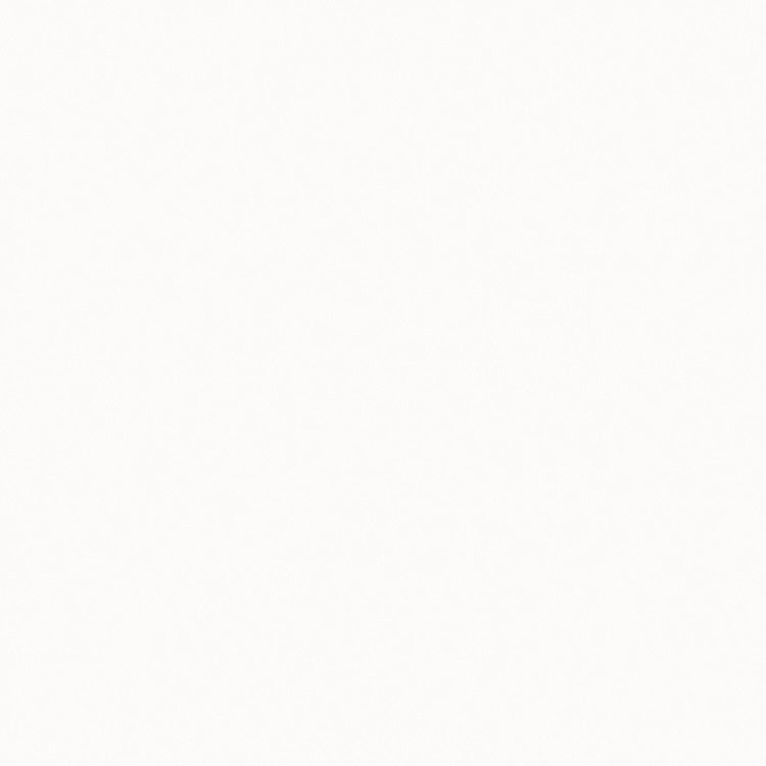 Temahome Étagère Berlin - Blanc mat - Blanc - 150 x 198 cm – Image 9